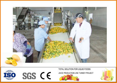 Chine Rendement professionnel et élevé de chaîne de fabrication de mangue de CFM-M-03-03T 3T/H fournisseur