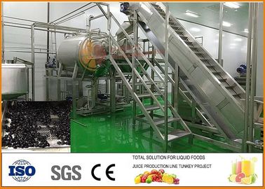 Chine Chaîne de production clés en main de fruits secs de la myrtille SS304 CFM-PB-03-22T fournisseur