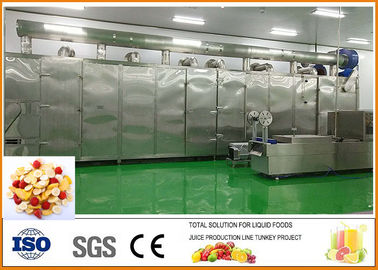 Chine Chaîne de production de fruits secs de fruits et légumes certification d'ISO9001 fournisseur