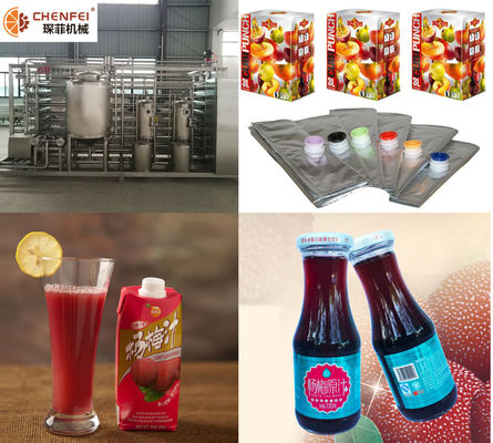 Jus clés en main de boisson du myrte bâtard SS304 faisant la chaîne de fabrication CFM-B-07 de machine