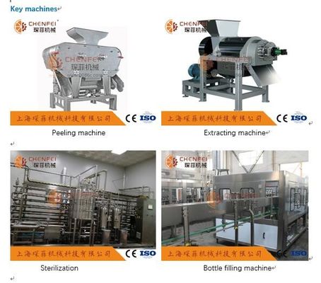 Chaîne de production de jus de grenade de Coustom 5T/certificat de H ISO9001